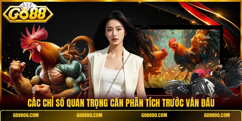 Các chỉ số quan trọng cần phân tích trước ván đấu