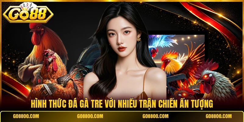 Hình thức đá gà tre với nhiều trận chiến ấn tượng