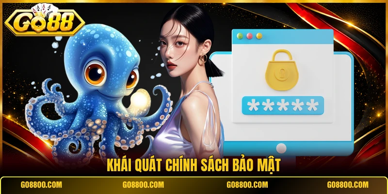 Khái quát chính sách bảo mật