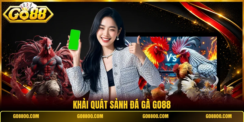 Khải quát sảnh đá gà Go88