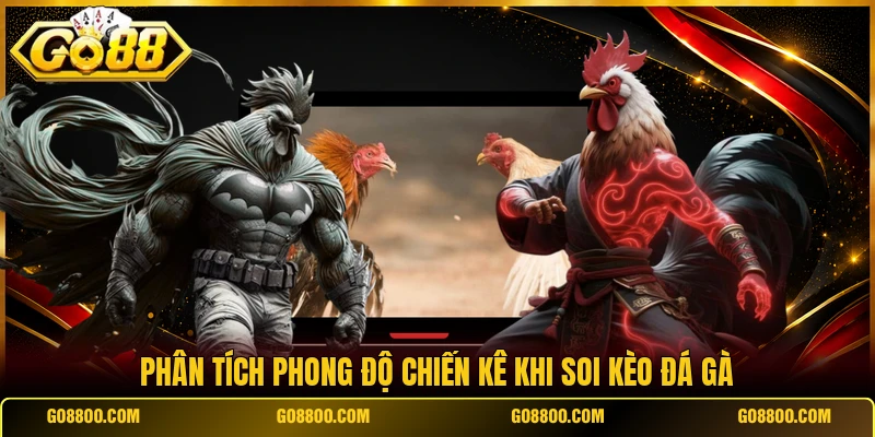 Phân tích phong độ chiến kê khi soi kèo đá gà
