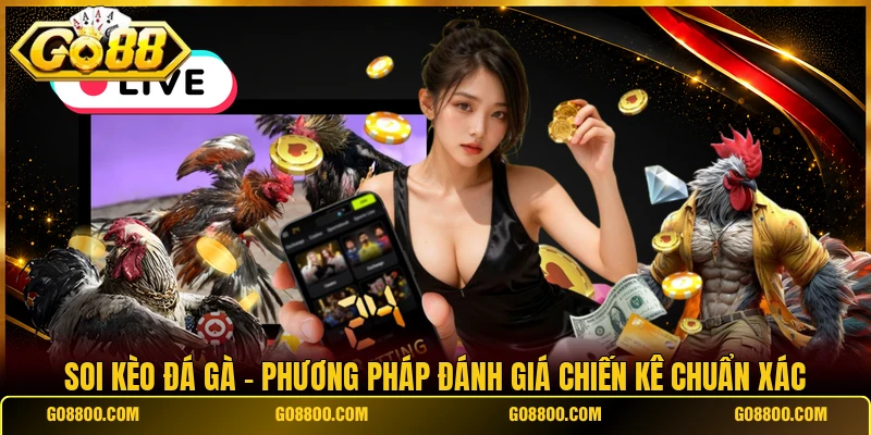 Soi Kèo Đá Gà