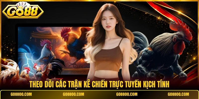 Theo dõi các trận kê chiến trực tuyến kịch tính