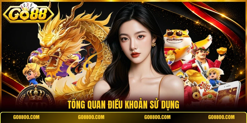 Tổng quan điều khoản sử dụng
