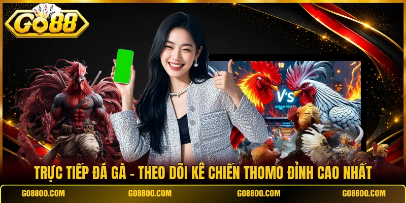 Trực Tiếp Đá Gà